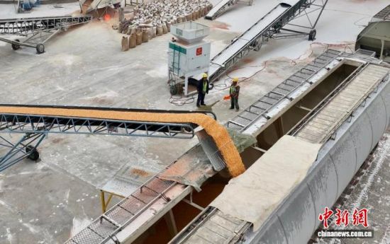 11��8����ɢ�Z��������ԭ�Z�쌣�þ����b܇���I(y��)�������� �z