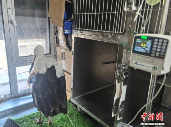 �܂��Ė|�����X���ڽ���ݔҺ�ί�����ʯ���� �z