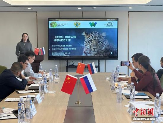 ���_˹���ҷ������o�|������(j��ng)�������� �z