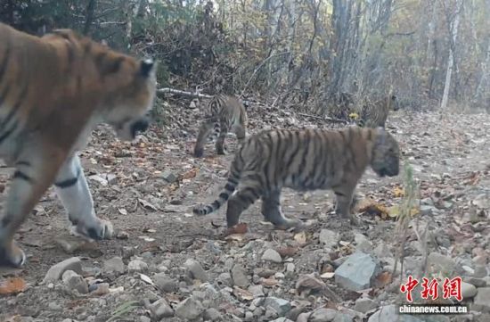 2025���ږ|���������ҹ��@�Ĕz���Ė|������(��ҕ��ý���D)