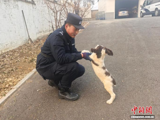 ���Ҳ������c�[�����B(y��ng)�H�ܶ�����ʯ���� �z