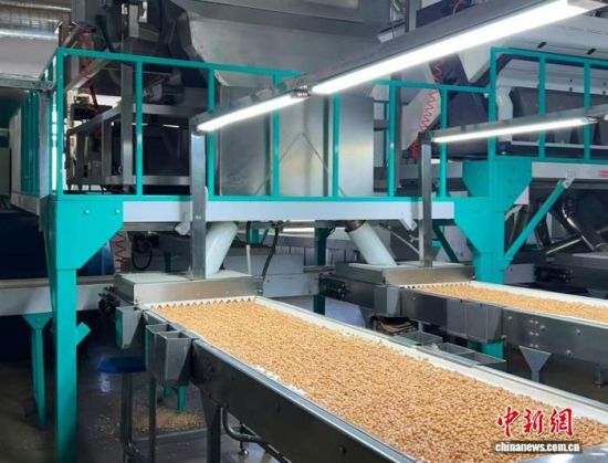 �������a����(�L�����P���D)