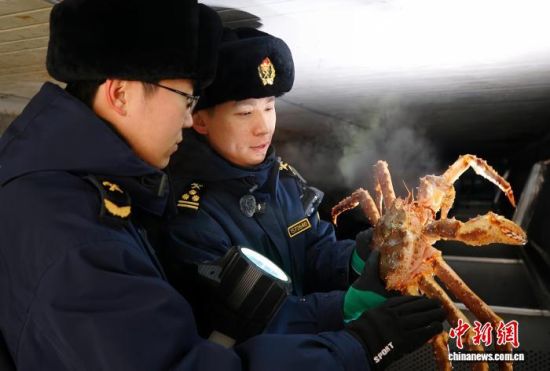 �L�����P(gu��n)���٬q�����P(gu��n)�P(gu��n)�T���M�ڵ���з�_չ��򞹤�����̽��V �z