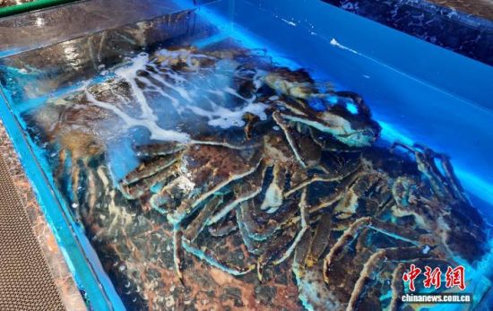 ���B(y��ng)����ĵ���з����߅��ί������ ���D