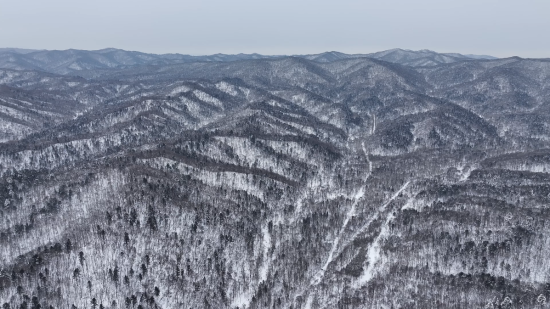 ���AƤ���(zh��n)ĵ���X�� �������ý�w���Ĺ��D