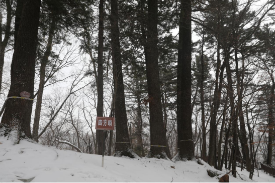 �ķ��������ڵء� �������ý�w���Ĺ��D