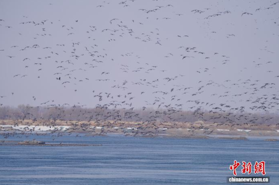 �B��^�������Ժ��������� �z