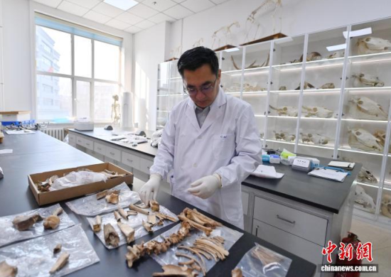 3��20���������L�����̴�������ӱ��������� �z