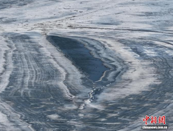 3��16���������(zh��n)�l�������������������BͣЪҒʳ���������� �z