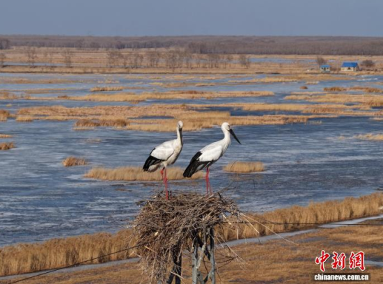 3��16���������(zh��n)�l��һ���|�����X��ĪĪ���صĳ����������������� �z