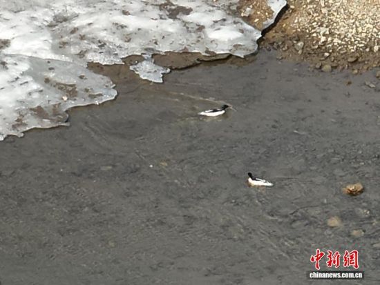 ���A��ɳ���ڼtʯ�օ^(q��)ˮ�������������L��ɽɭ�����F�tʯ�֘I(y��)���޹�˾���D