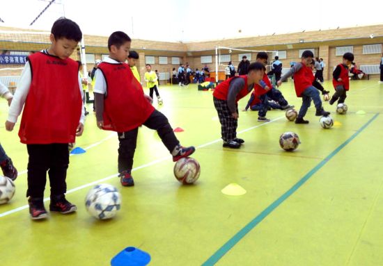 ���D�hί������/���D