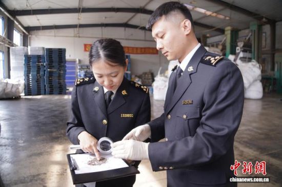 �L��ɽ���P�P�T�_չ�����K�Ѳ�����L�����P���D