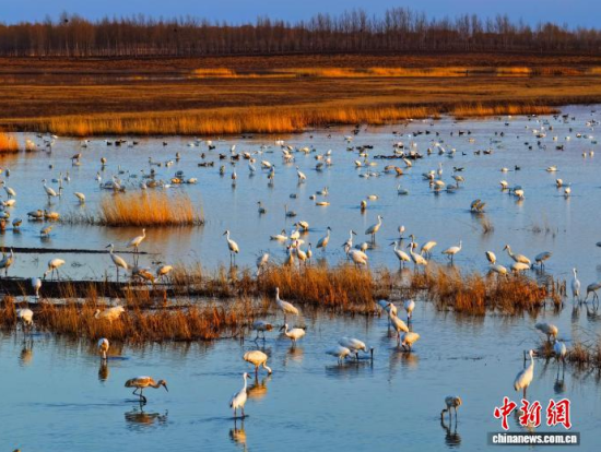 4��11�գ������(zh��n)�l�����Q����ϡ�B���ĪĪ����Ғʳ���������� �z