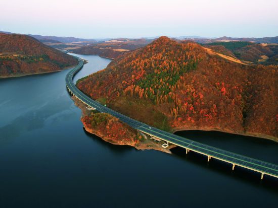 ����ʡ�Q��������������߼��F(tu��n)/���D